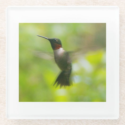 Male Ruby Throat Hummingbird Glazen Onderzetter (Voorkant)