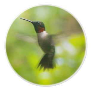 Male Ruby Throat Hummingbird Keramische Knop