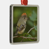 Male Ruby-vol Kinglet, Regulus calendula Metalen Ornament (Rechts)