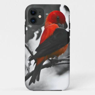 Male Scarlet Tanager iPhone 11 Hoesje