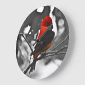 Male Scarlet Tanager Grote Klok (Hoek)