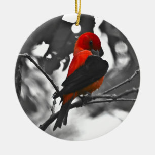 Male Scarlet Tanager Keramisch Ornament