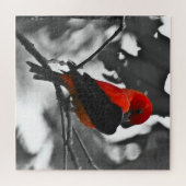 Male Scarlet Tanager Legpuzzel (Horizontaal)