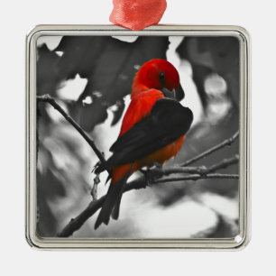 Male Scarlet Tanager Metalen Ornament