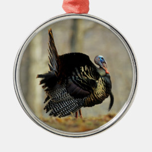 Male turkey strutting, Illinois Metalen Ornament