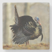 Male turkey strutting, Illinois Stenen Onderzetter (Voorkant)