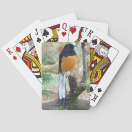 Male White-Rumped Shama Bird Pokerkaarten