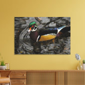 Male Wood Duck At Crystal Springs Rhododendron Canvas Afdruk (Insitu (Woonkamer))