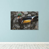 Male Wood Duck At Crystal Springs Rhododendron Canvas Afdruk (Insitu (Houten vloer))