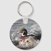 Male Wood Duck Maken van een Splash