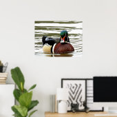 MALE WOOD DUCK POSTER (Thuiskantoor)
