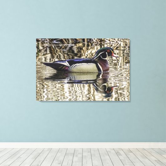 Male wood duck swimming in pond canvas print (Insitu (Houten vloer))