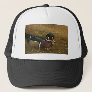 Male Wood Duck Trucker Pet