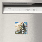 Malediven Magneet (Insitu (Vaatwasser))