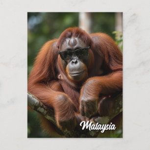 Maleisië Orang-oetan met zonnebril Briefkaart