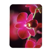 Maleisië, Orchid Magneet (Verticaal)