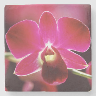 Maleisië, Orchidee Stenen Onderzetter