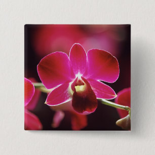 Maleisië, Orchidee Vierkante Button 5,1 Cm