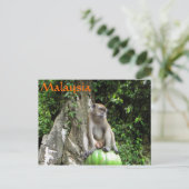 Maleisische aap briefkaart (Staand voorkant)