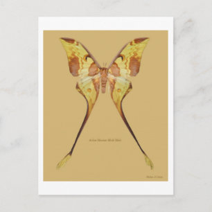 Maleisische Moon Moth Briefkaart
