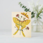 Maleisische Moon Moth & China Pink Briefkaart (Staand voorkant)