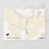 Maleisische Moon Moth & China Pink Briefkaart (Achterkant)