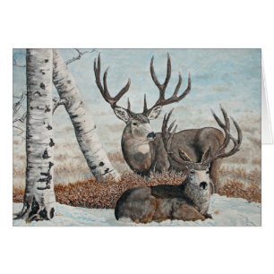 Mâles d'arête de Milou