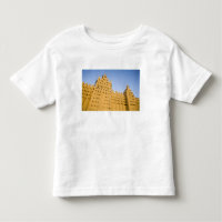 Mali, Djenne. Grote Moskee