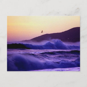 Malibu Beach Briefkaart