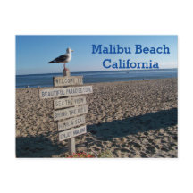 Malibu Beach Briefkaart - Paradise Cove Seagull Si
