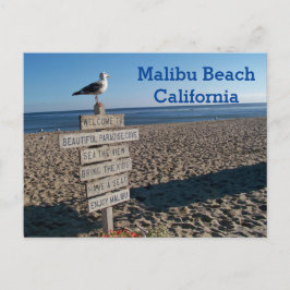 Malibu Beach Briefkaart - Paradise Cove Seagull Si