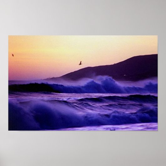 Malibu Beach Poster (Voorkant)