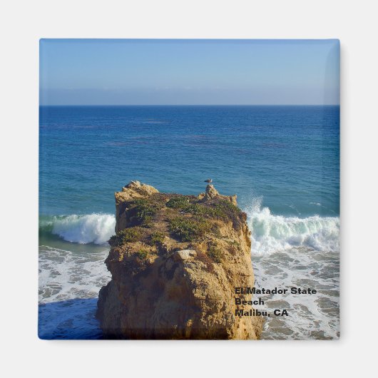 Malibu CA Beach Magnet (Devant)