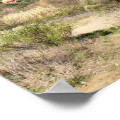 Malibu Creek State Park Poster (Hoek)