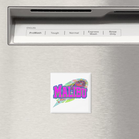 Malibu Future Magnet (In Situ (Lave-vaisselle))
