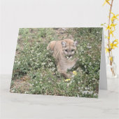 Malice Être belle carte (Fleur jaune)