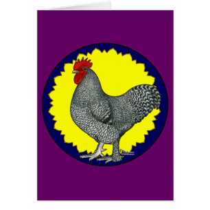 Maline Rooster