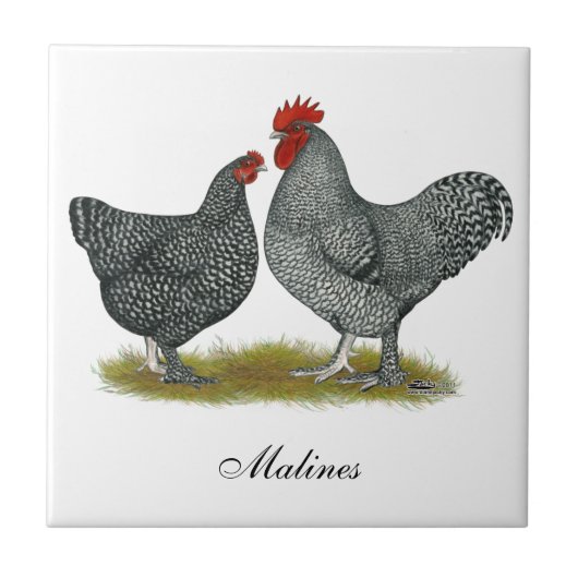 Malinekippen Tegeltje (Voorkant)