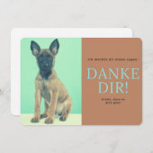 Malinois   bedankkaart (Voorkant / Achterkant)