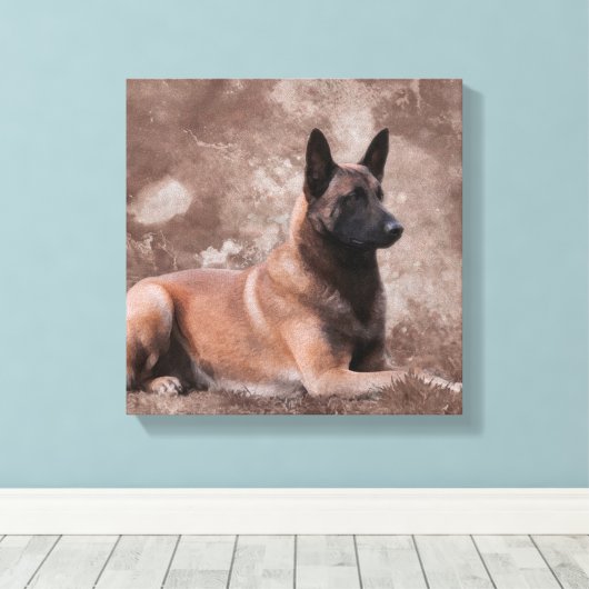 Malinois Belgische herder - Mechelaar Canvas Afdruk (Insitu (Houten vloer))