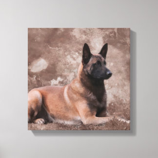 Malinois Belgische herder - Mechelaar Canvas Afdruk