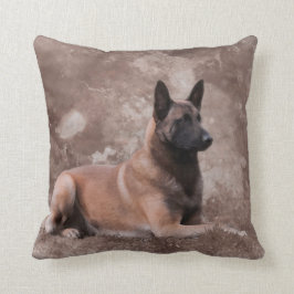 Malinois Belgische herder - Mechelaar Kussen
