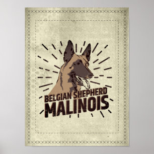 Malinois - Belgische herder - Mechelaar - Maligato Poster