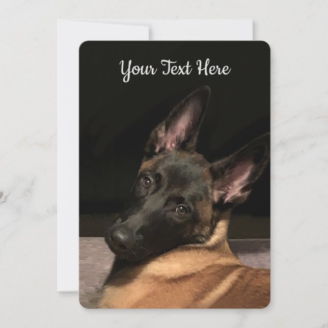 Malinois Dog (Voorkant)