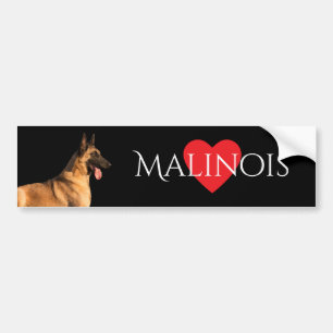 Malinois Dog Bumpersticker