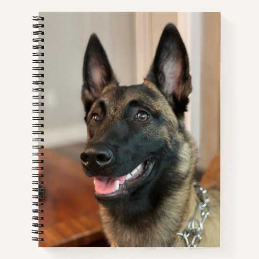 Malinois Dog Notitieboek (Voorkant)