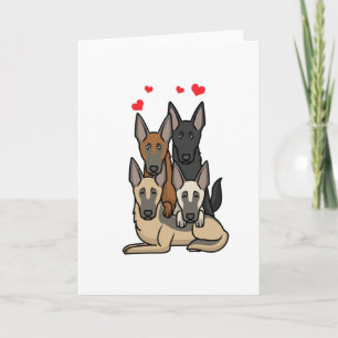 Malinois Dogs Kaart