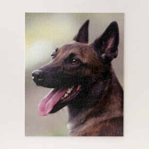 Malinois duitse herdershond portret hond legpuzzel