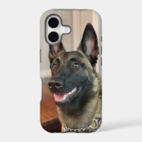 Malinois hond