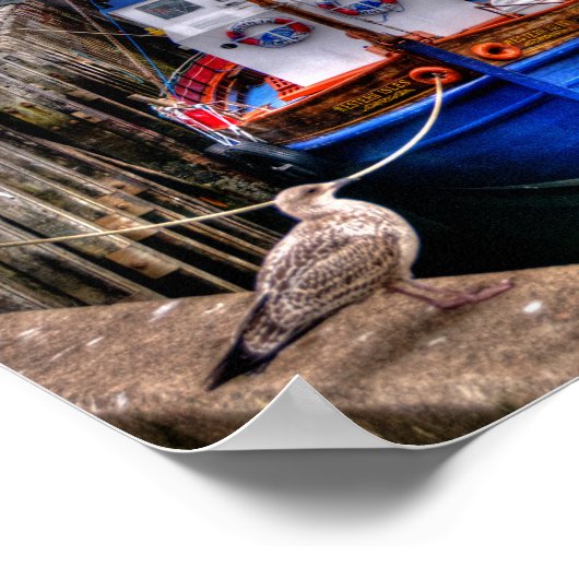 Mallaig, Schotland Poster (Hoek)